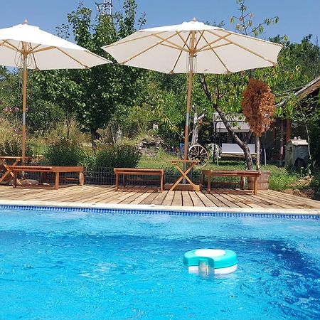 Къща За Гости Каза Роза - Swiss Style Chalet Casa Rosa Guest House Kyustendil Extérieur photo