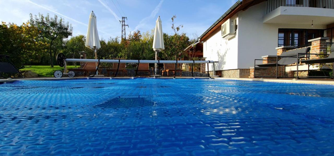 Къща За Гости Каза Роза - Swiss Style Chalet Casa Rosa Guest House Kyustendil Extérieur photo