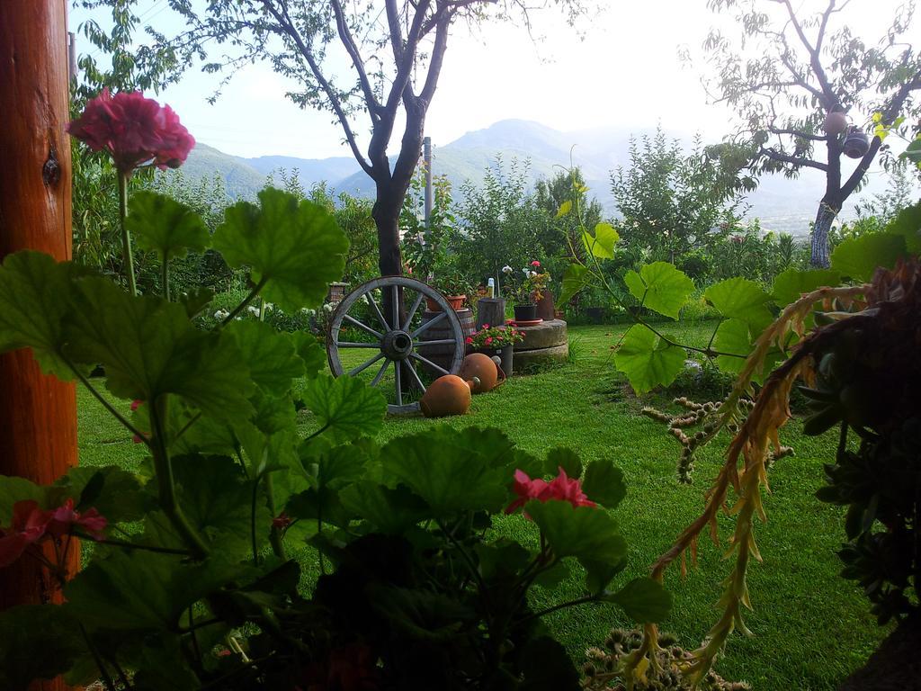 Къща За Гости Каза Роза - Swiss Style Chalet Casa Rosa Guest House Kyustendil Chambre photo