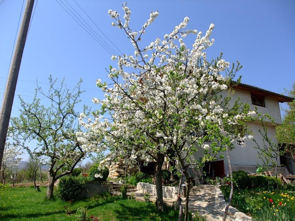 Къща За Гости Каза Роза - Swiss Style Chalet Casa Rosa Guest House Kyustendil Chambre photo